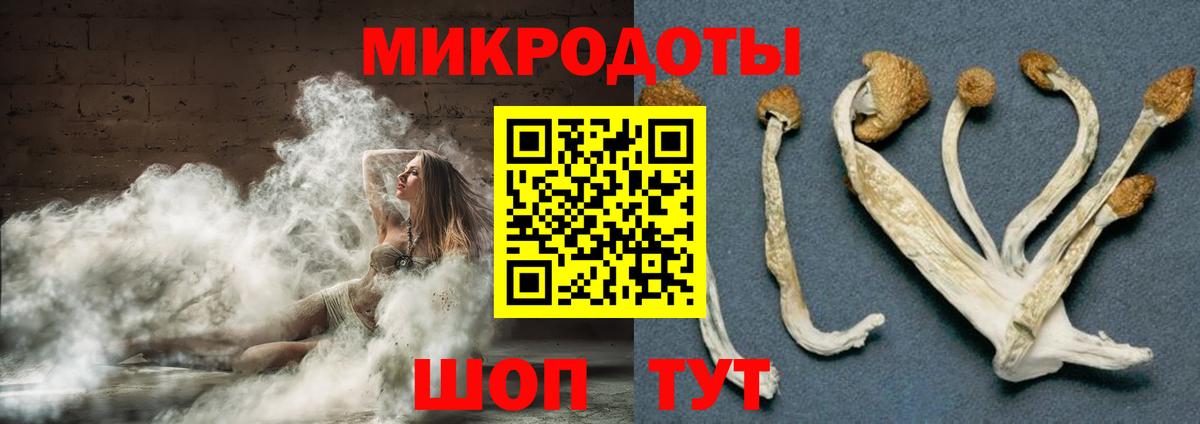 Псилоцибиновые грибы мухоморы  где купить   Будённовск  Вход с VPN 